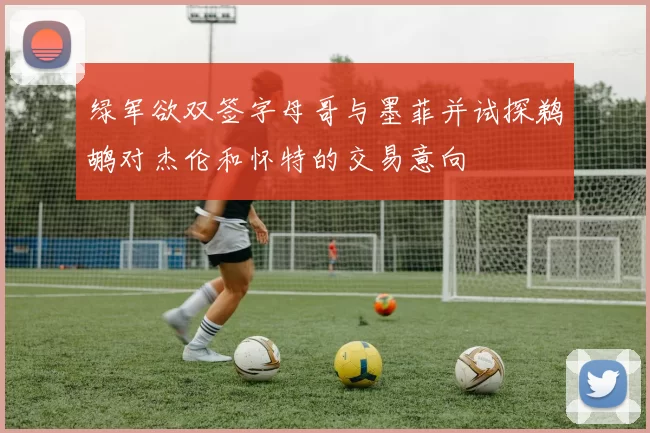 绿军欲双签字母哥与墨菲并试探鹈鹕对杰伦和怀特的交易意向