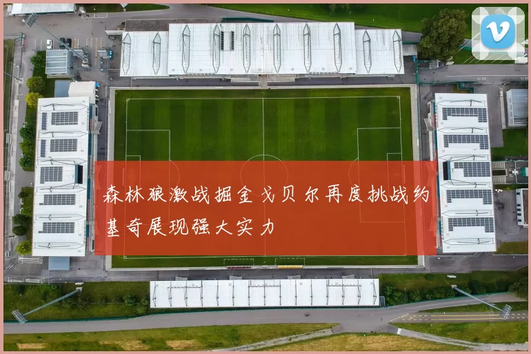 森林狼激战掘金戈贝尔再度挑战约基奇展现强大实力